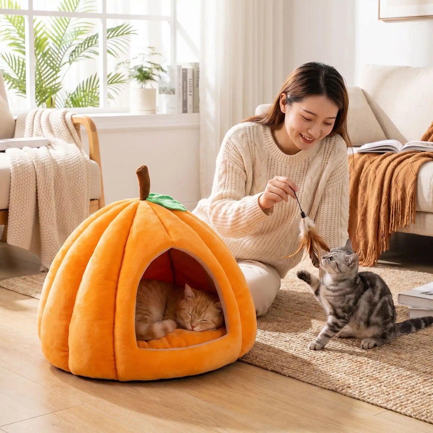 panier pour chat femme joue avec chat livre ouvert