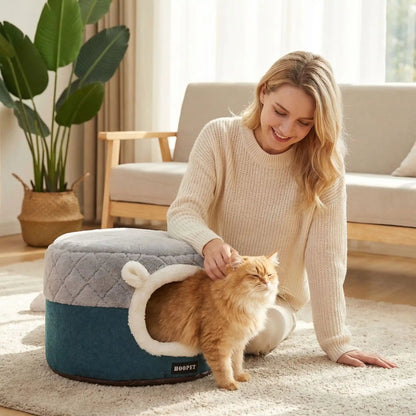 panier pour chat femme souriante plante verte tapis