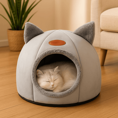 panier-pour-chat-plante-verte-chat-dort