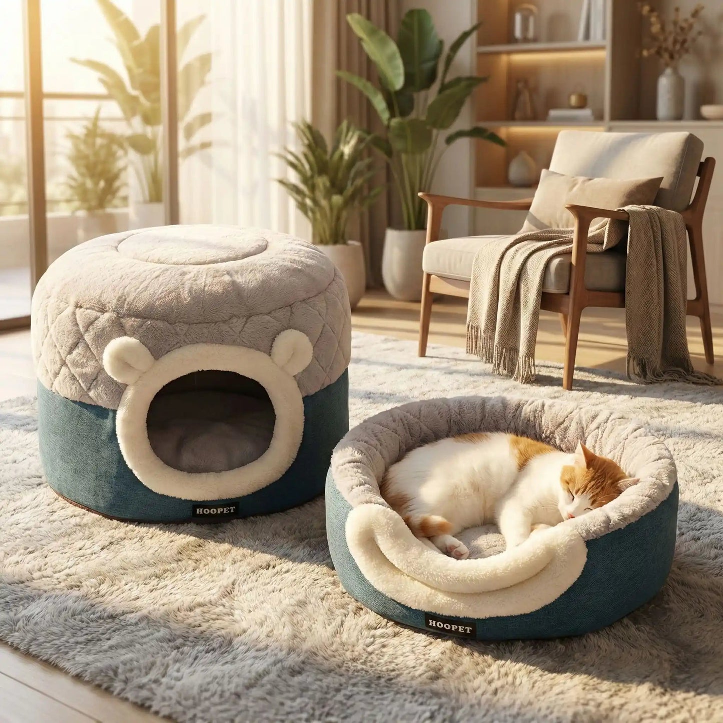 panier pour chat plante verte tapis blanc chaise
