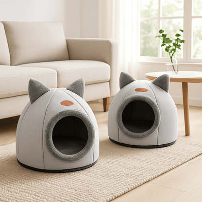 panier-pour-chat-vase-plante-table-tapis-blanc