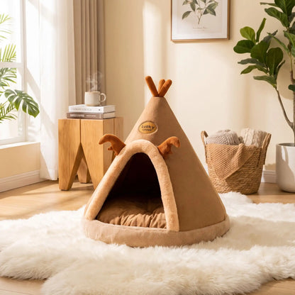 tipi chat couleur marron tapis blanc tableaux